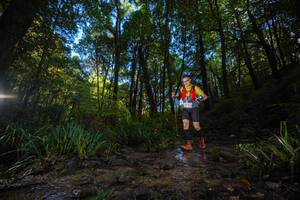 BIB: 
                            <button type="button" onclick="openModal(19231894)" class="btn btn-primary btn-sm float-right btn-popup" data-toggle="modal" data-target=".modal-high-quality">
                        <i class="fas fa-shopping-cart"></i> Add to Cart
                    </button>
                                            <button type="button" onclick="isThisMe(19231894, true)" class="btn btn-success btn-sm float-right btn-popup btn-isme hidden" data-toggle="tooltip" data-placement="bottom" title="นี่คือรูปของคุณใช่ไหม คลิกที่นี่เพื่อเอาเข้าอัลบั้ม">
                        <i class="fas fa-plus"></i> Add to album
                    </button>
                    <button type="button" onclick="isThisMe(19231894, false)" class="btn btn-warning btn-sm float-right btn-popup btn-isnotme hidden">
                        <i class="fas fa-ban"></i> Remove from album
                    </button>